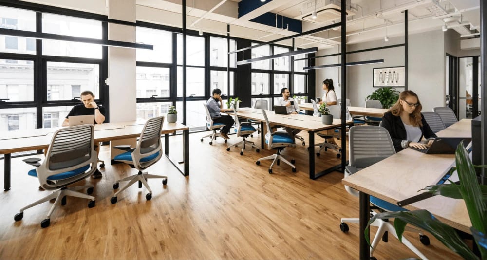 Space Penguin-276 Flinders Street