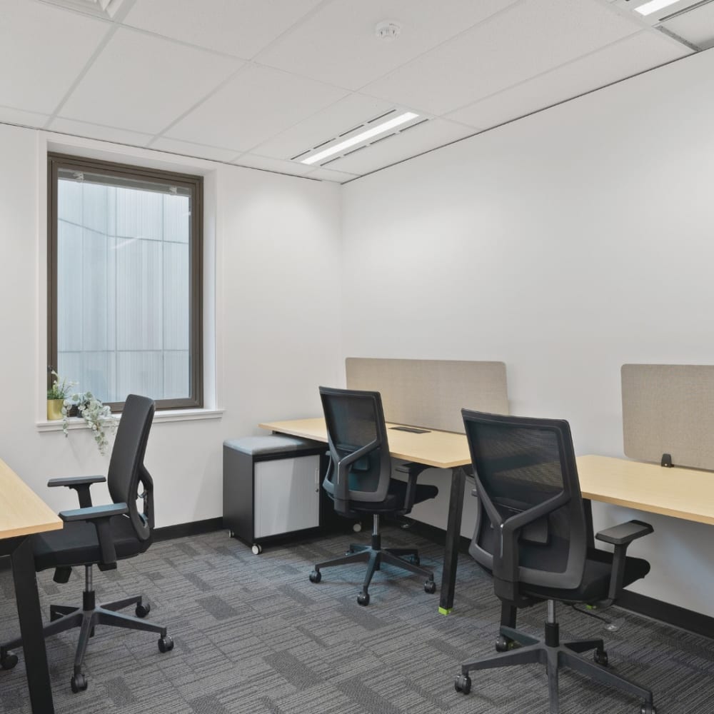 Spot Coworking 12 Pirie Street