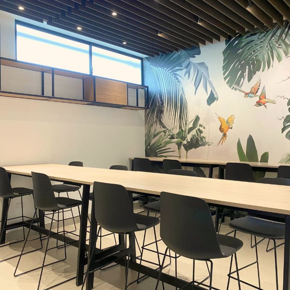 Invernadero Coworking- Balsamos