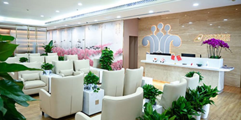 Plaza Premium Lounge Wuhan Tianhe Airport