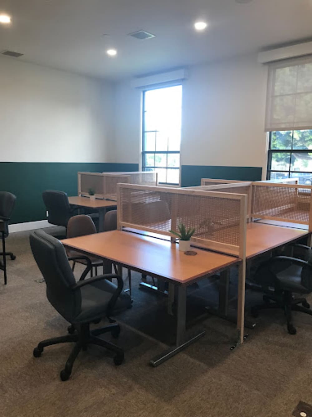 The New Haven Daycare