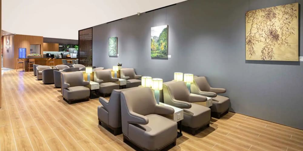 Plaza Premium Lounge-Pier E Domestic Departures Terminal T3A