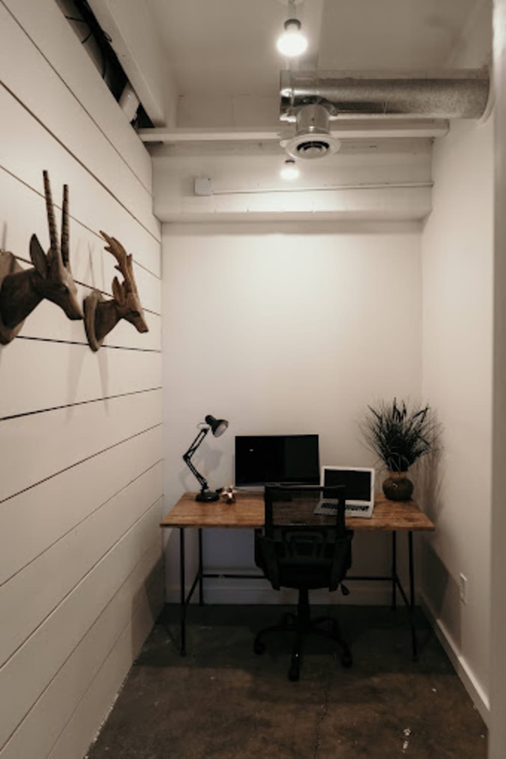 Three One Three Van Buren