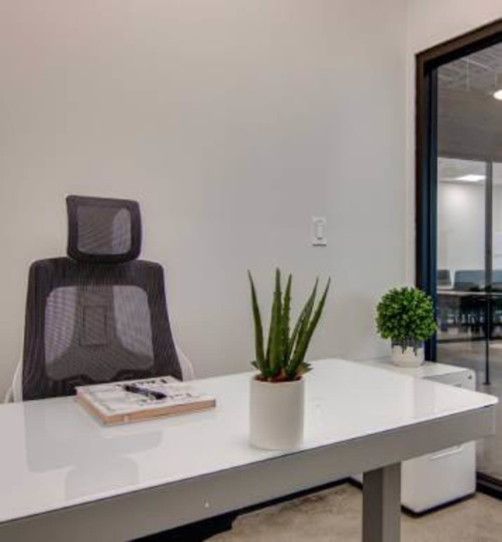 Local Collective Jackson-St Paul