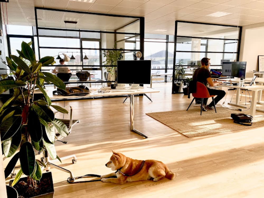 Kontorfællesskab Dokk21