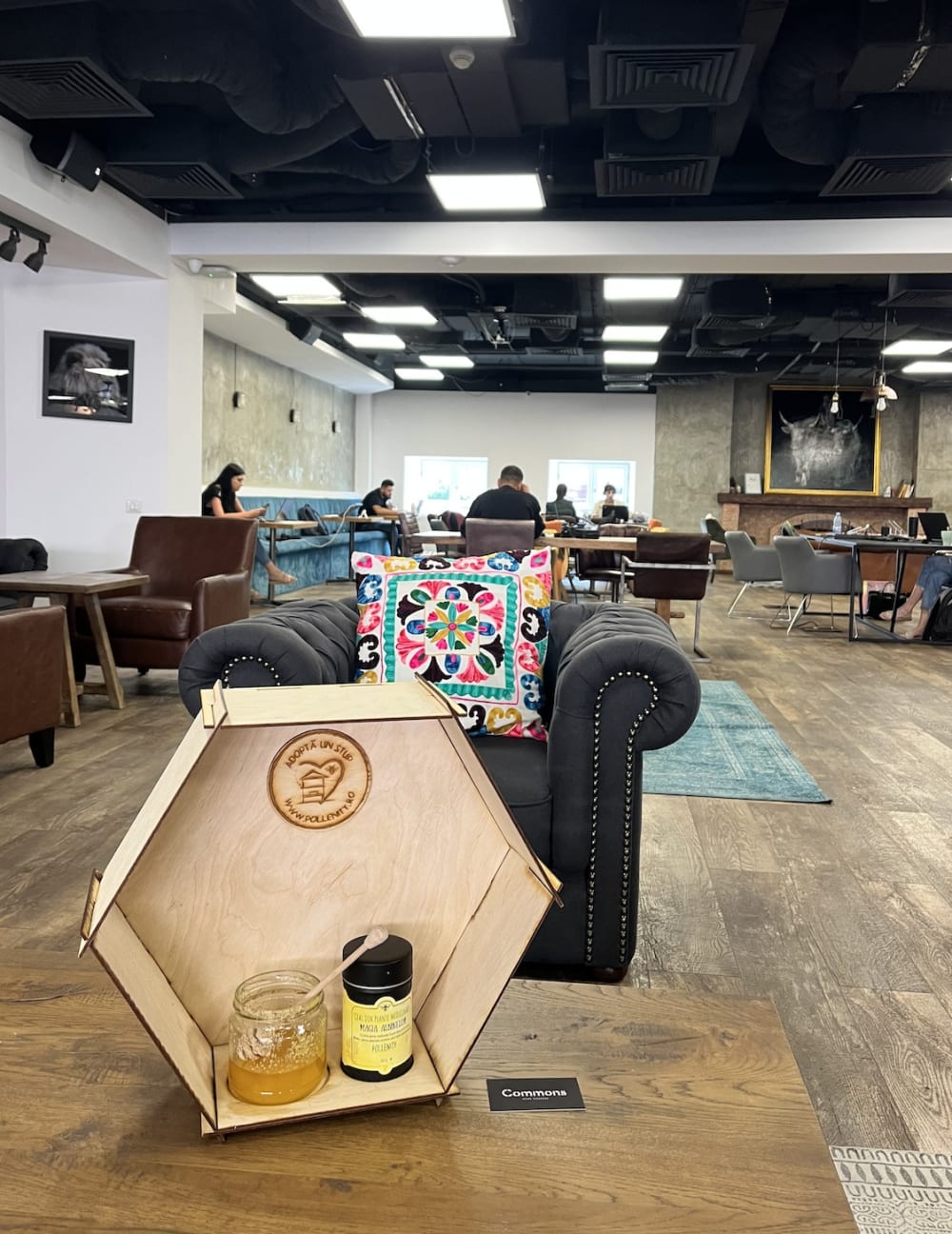 Commons Work Zerktouni