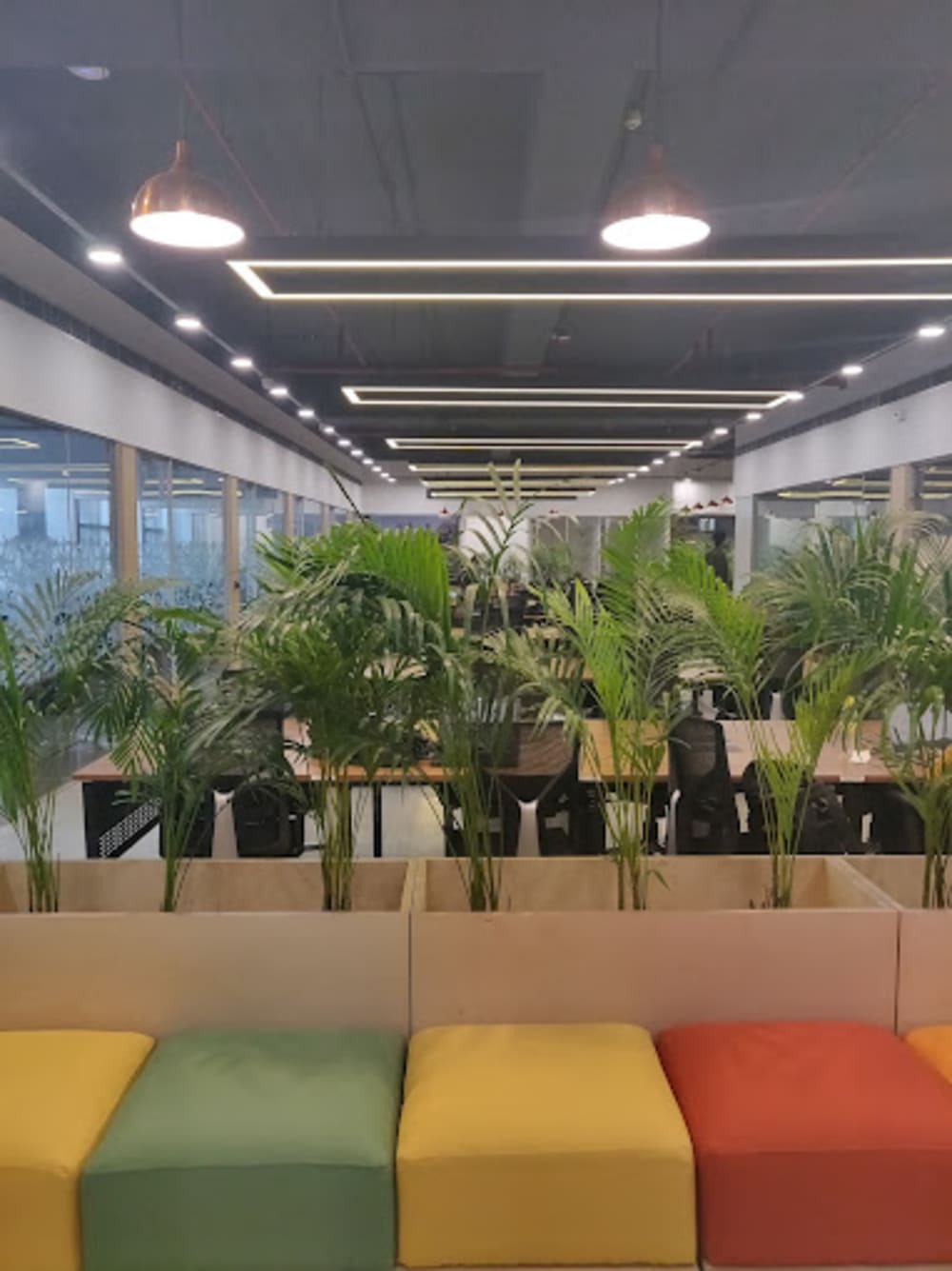 India Accelerator Gurgaon