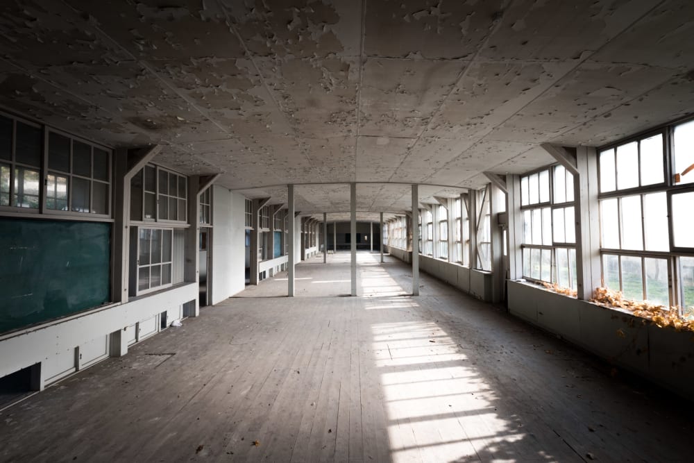 HIveTree 168 Brinkburn Street  Newcastle