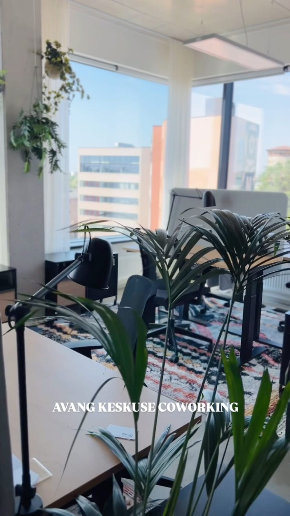 Avang Center Tallinn