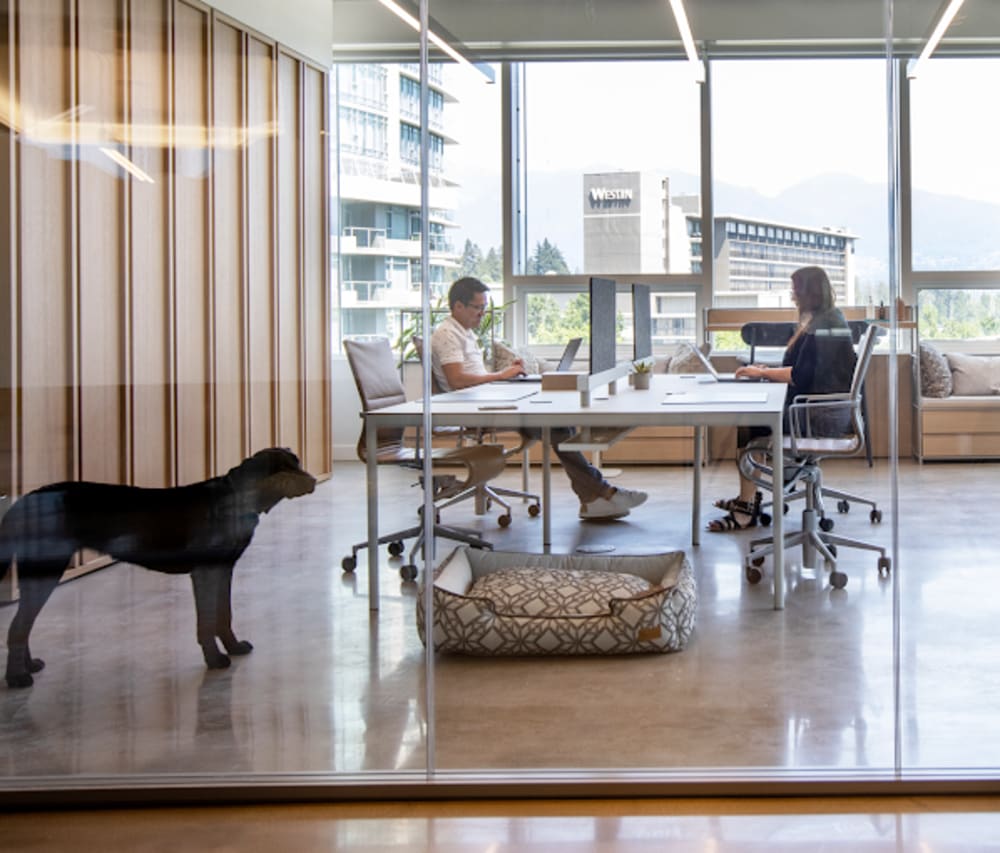And-Co Offices- Vancouver