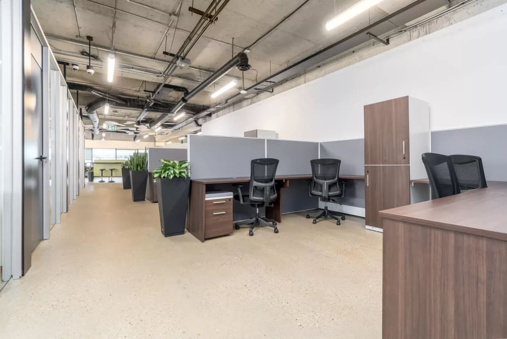 The Workup Coworking