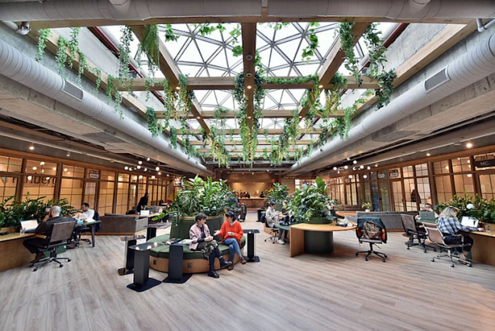 Kolektif House Maslak