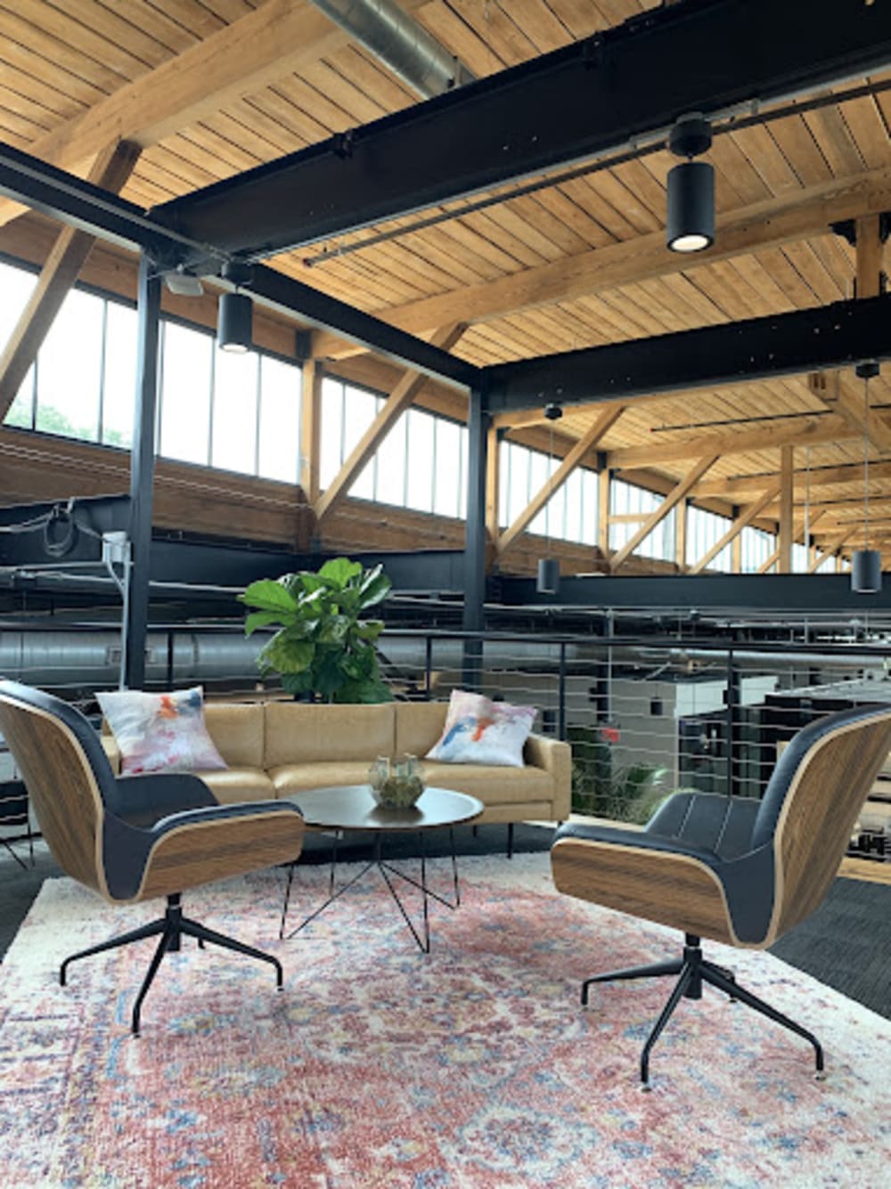 Venture X Plush Mills-Greenville