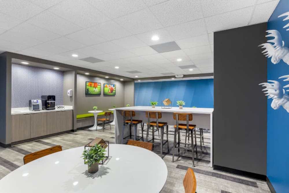 Boxer Property Forest-Marlborough