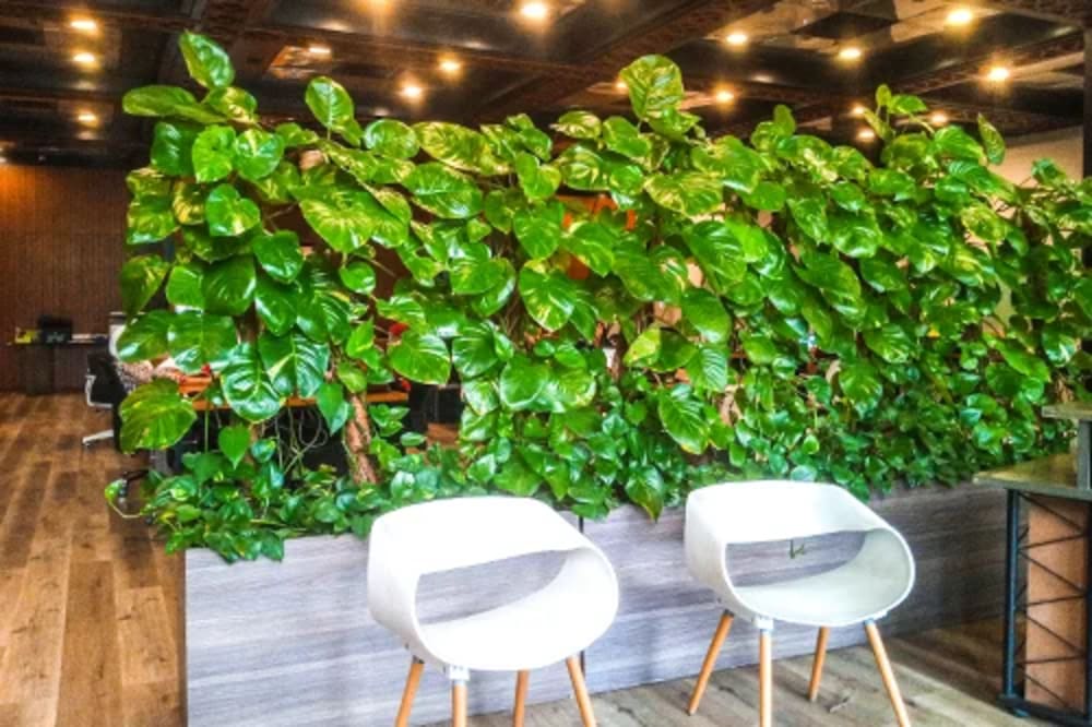 CREATE coworking Karachi