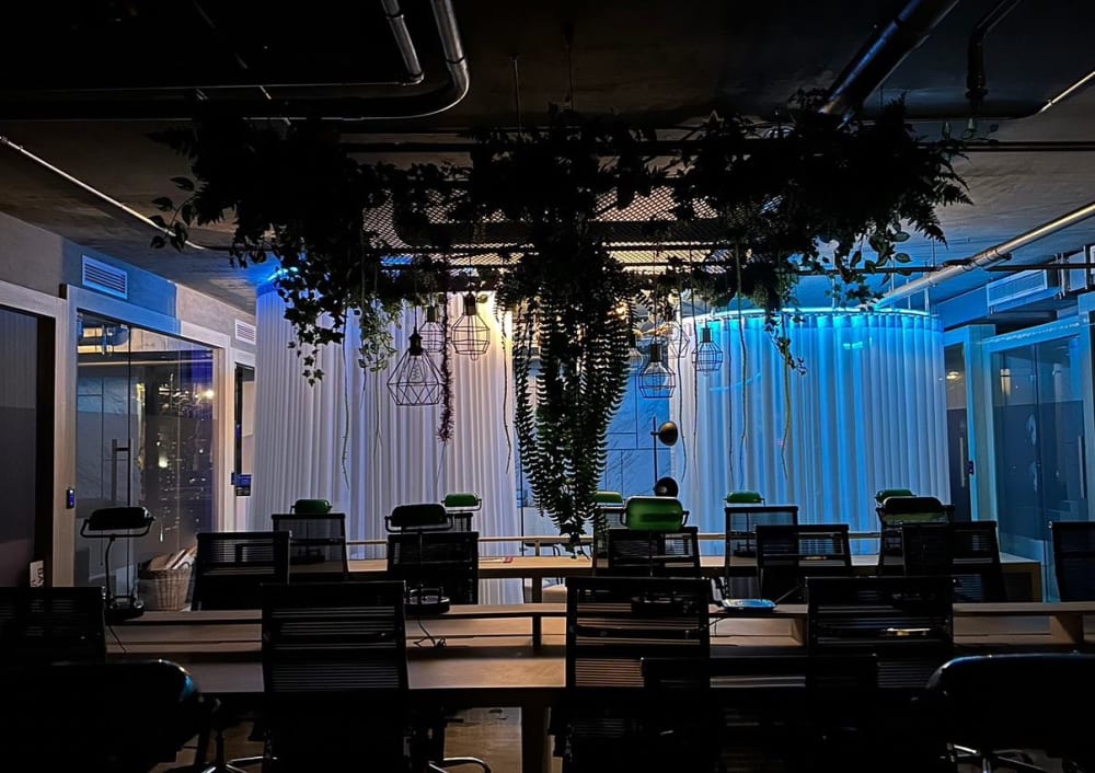 D Cubic Space & Cafe