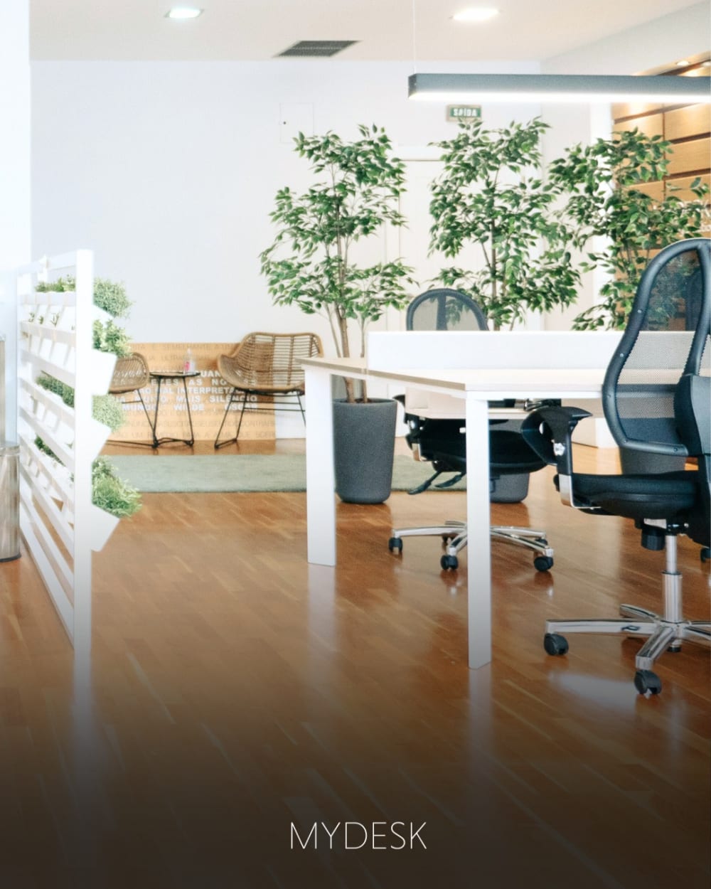 My Desk Coworking Solutions