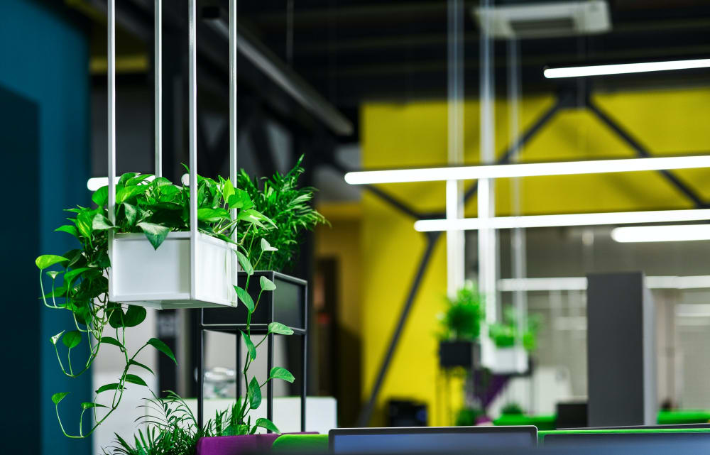 Office Rental-Abu Dhabi