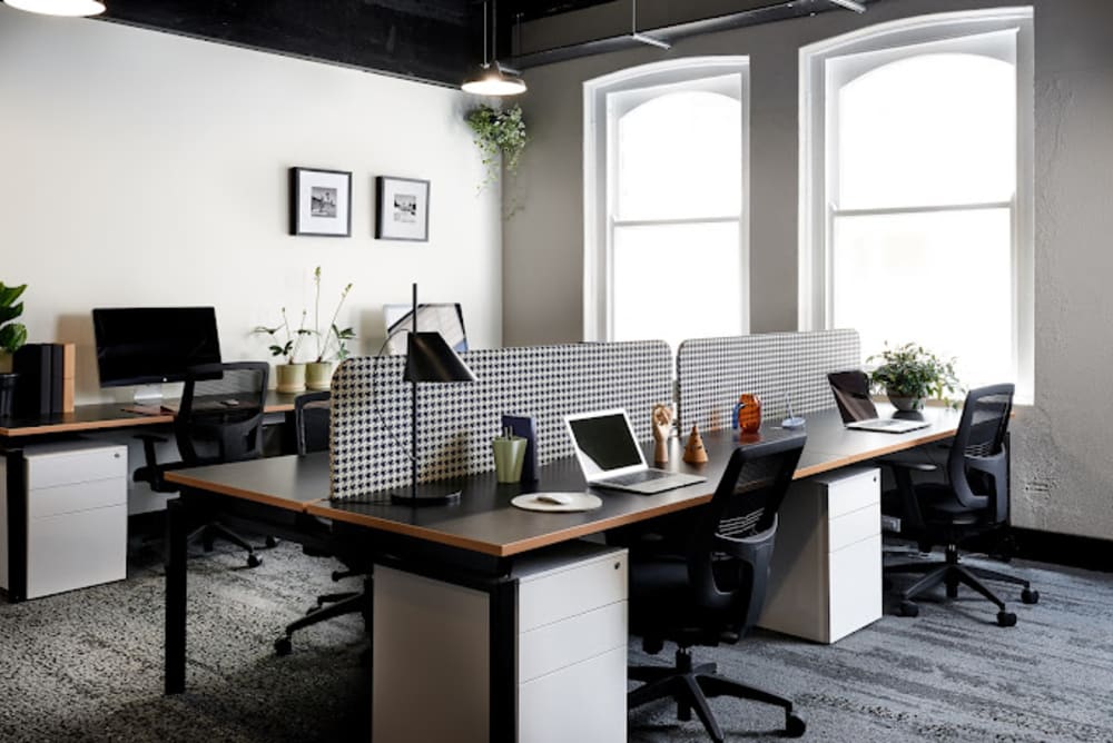 Plus U Work Collective- Chippendale