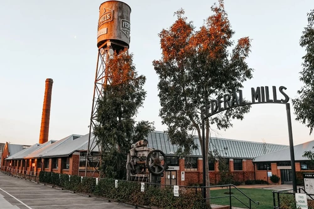 The Company Spot 33 Mackey Street