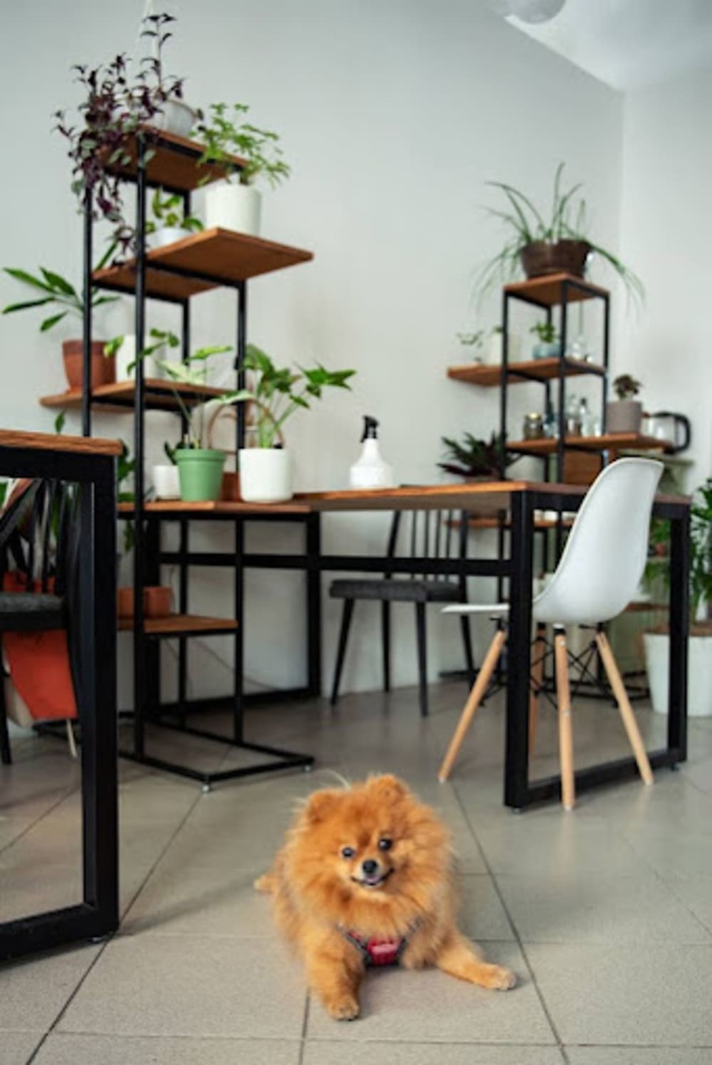 Kovorking Vse Zhivoye