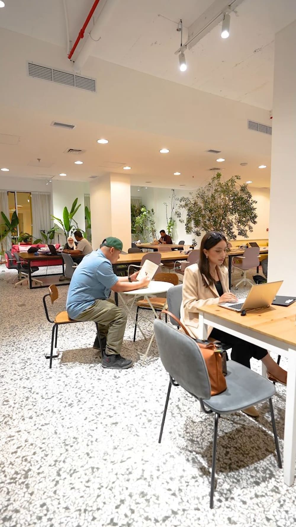 Niu Collaborative Community