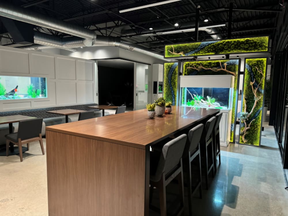 Social Coworking Collaboration-Warwick