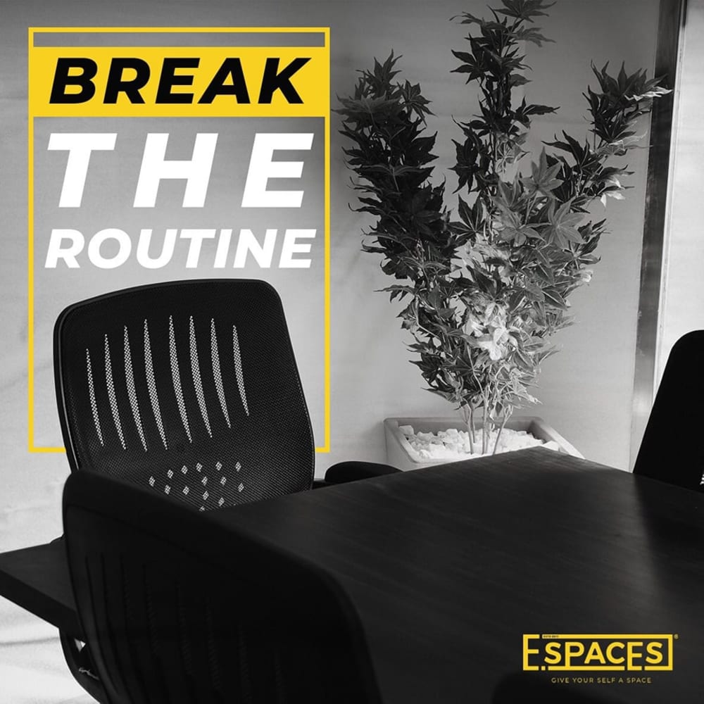 Ebda3 Capital - Sheikh Zayed