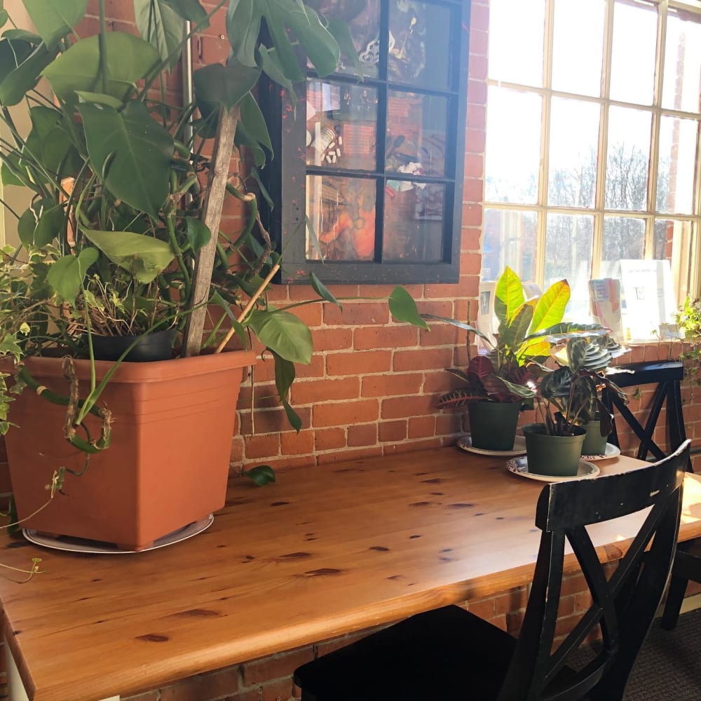 The Hive Ten Rod-North Kingstown