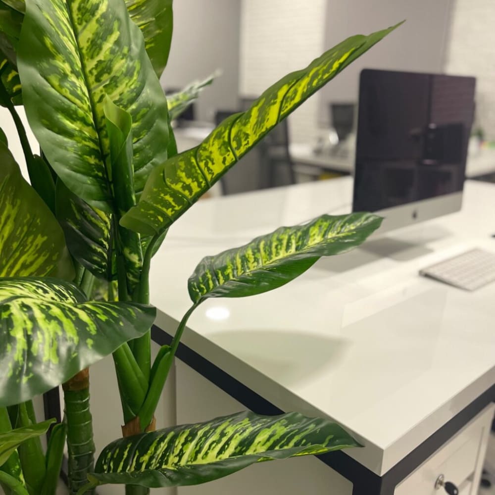 SIP Coworking-Novosibirsk