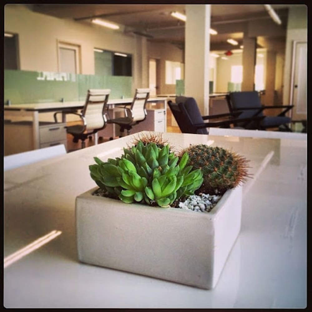 SkyeStudios Miami Ave 400