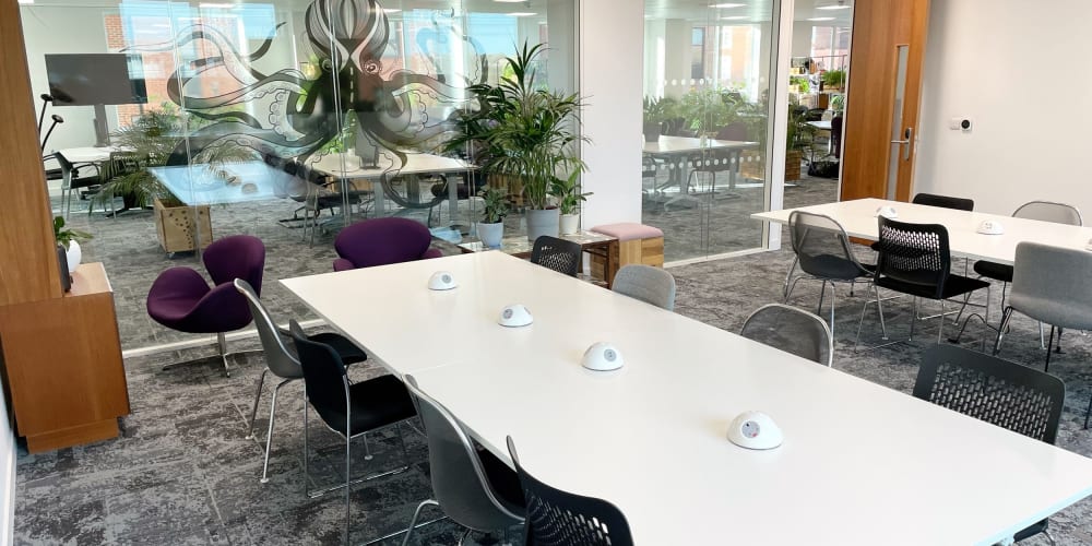 The Curious Lounge Reading