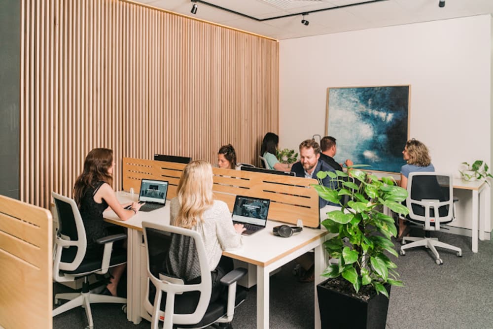 Studio42 Workspaces 42 Manilla Street