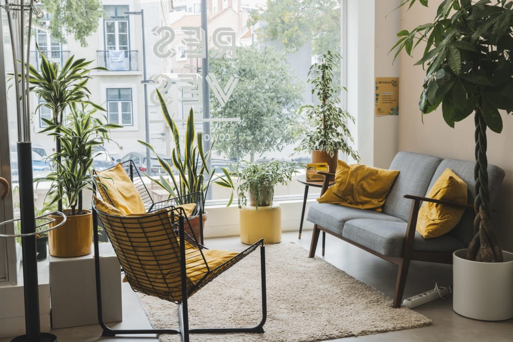 NOMAD PYRAMID UNIPESSOAL LDA