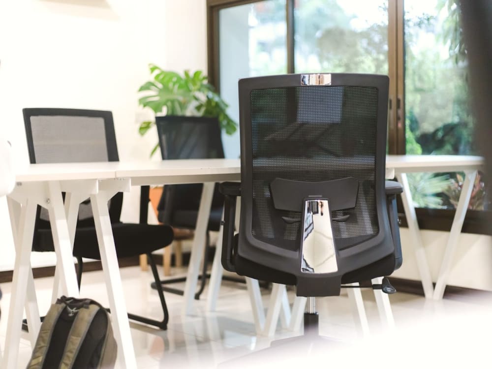 The Social Club Chiang Mai