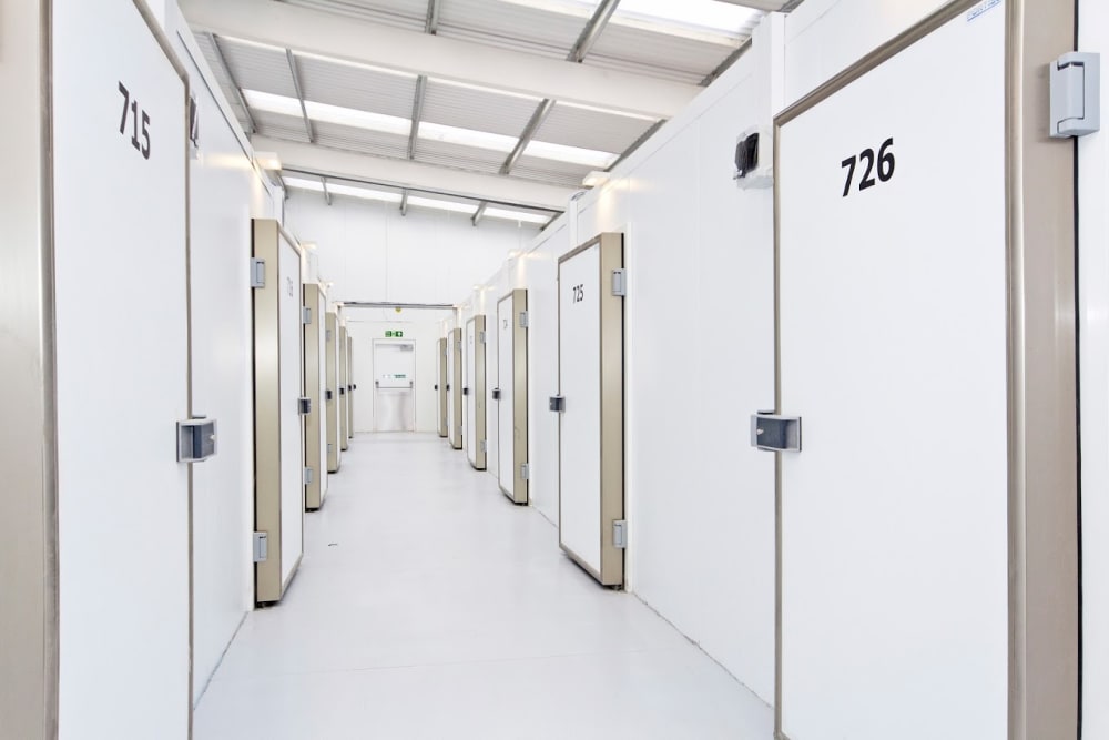 Dephna Portal way London