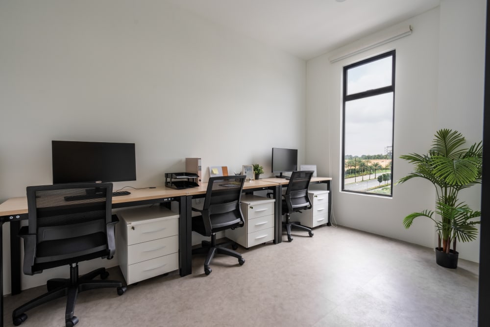 INFINITY8 Reserve Eco Palladium