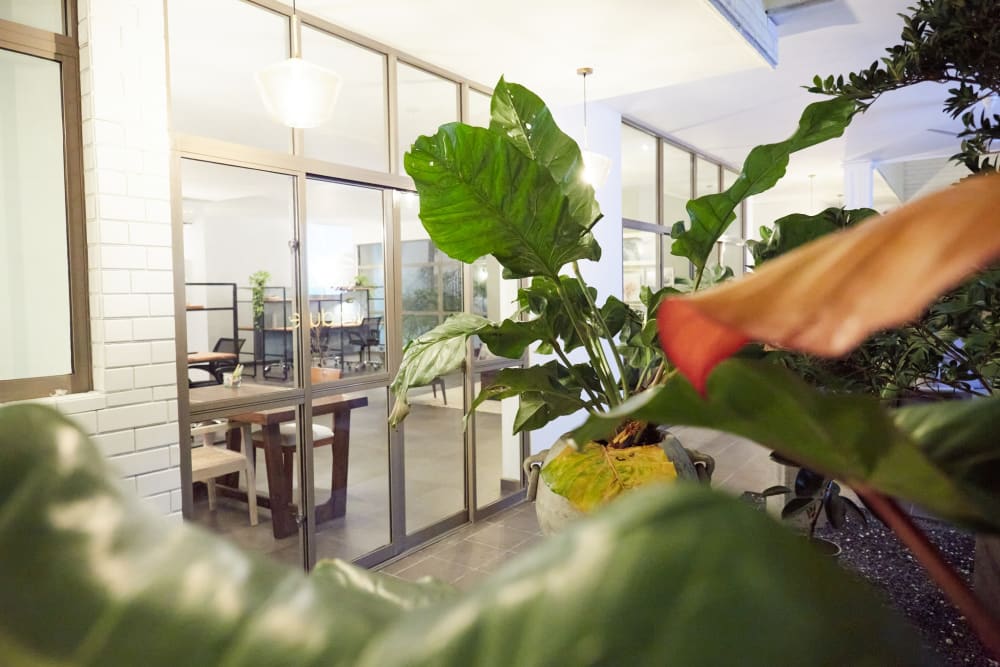 Verdure Rosmead Pl- Colombo