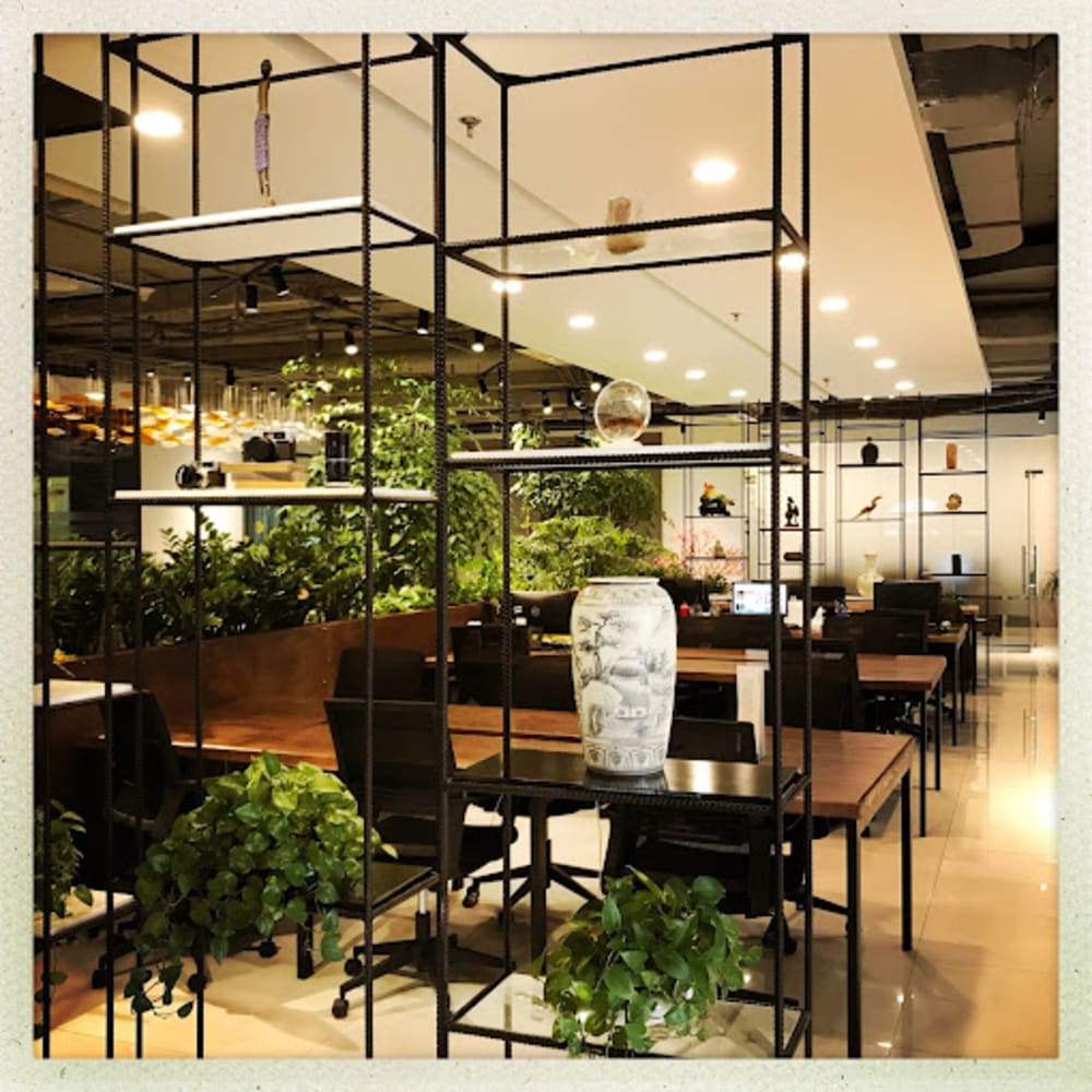 Y-Nest Coworking Space