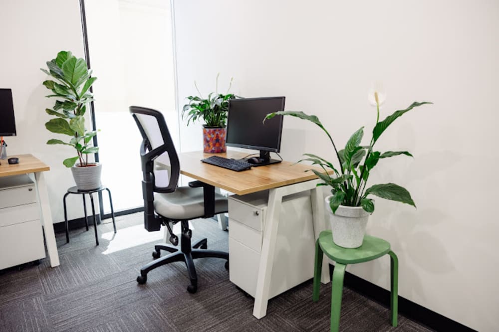 Little City Coworking Prospect