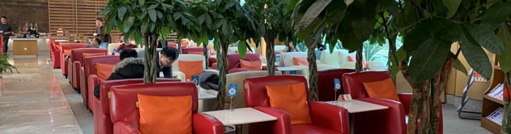 Plaza Premium Lounge China Southern Elite Plus Lounge