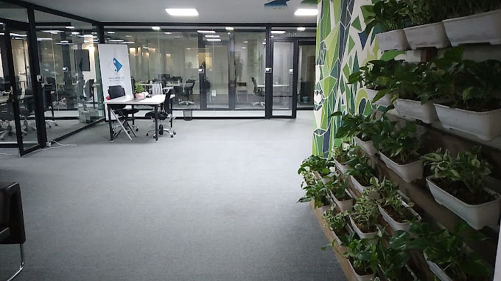 Blue White-Sepehr Branch