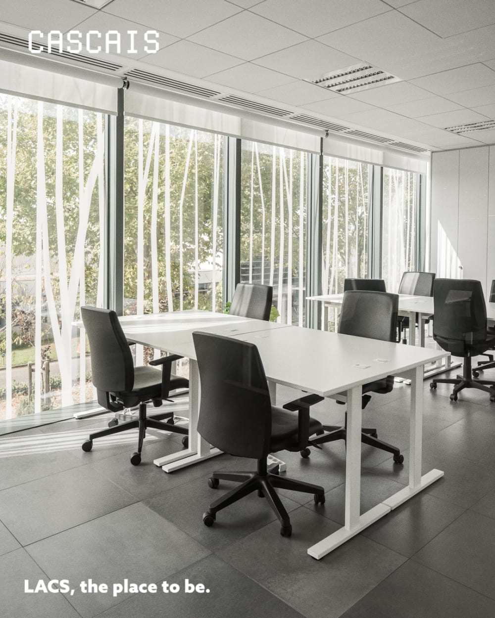 LACS - Cascais