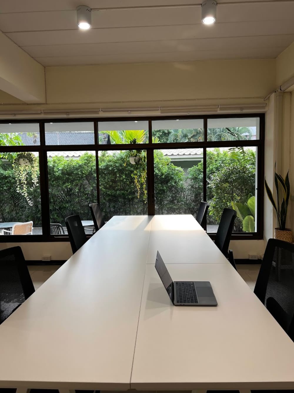 The Social Club Chiang Mai