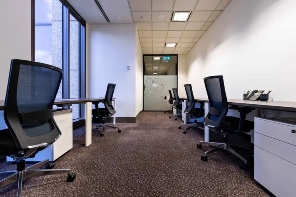 Space Penguin-333 Collins Street