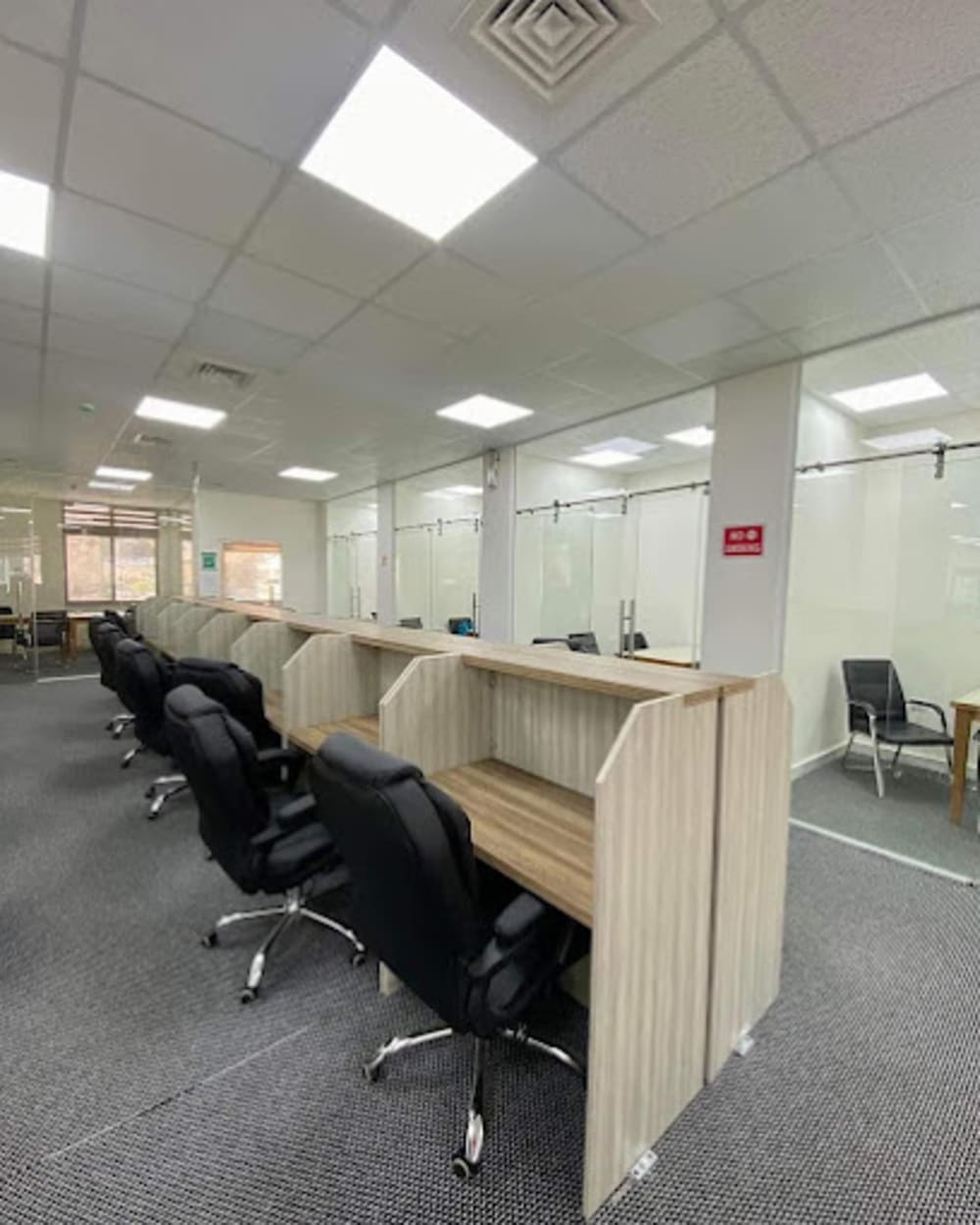 Study servic Coworking- Amman