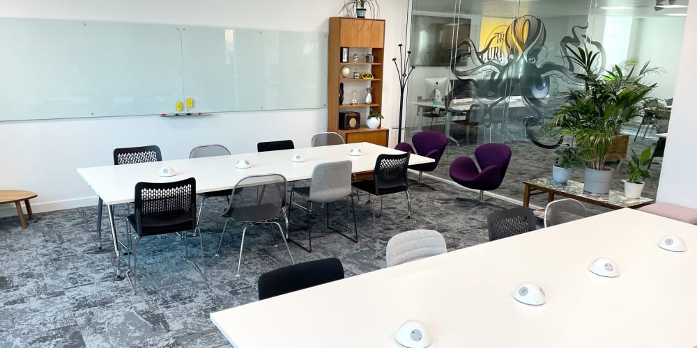 The Curious Lounge Reading