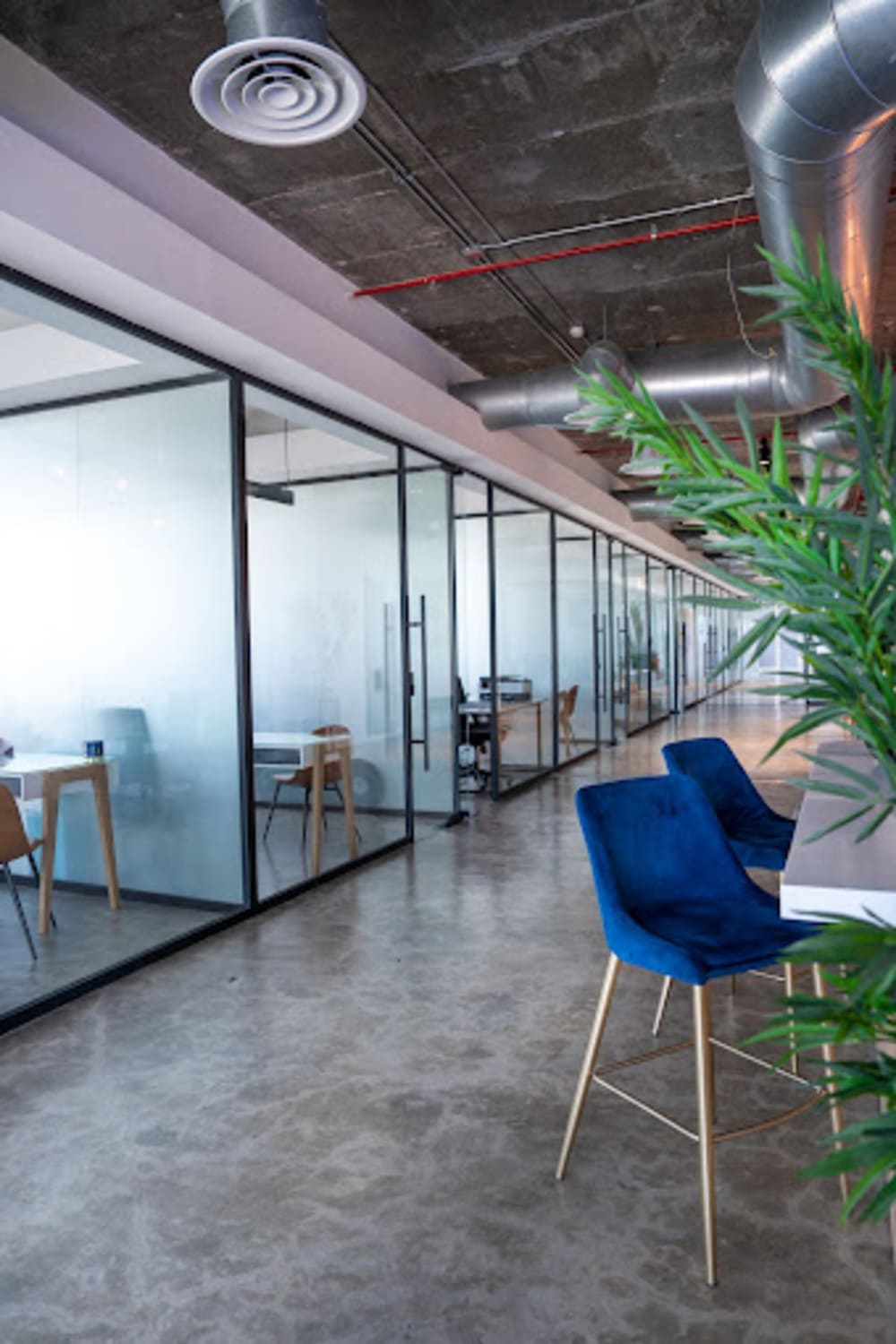 Shedoffices Coworking