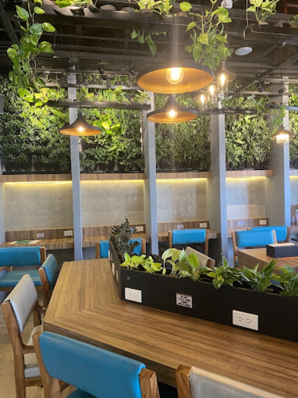 Study Room Co-Working Space