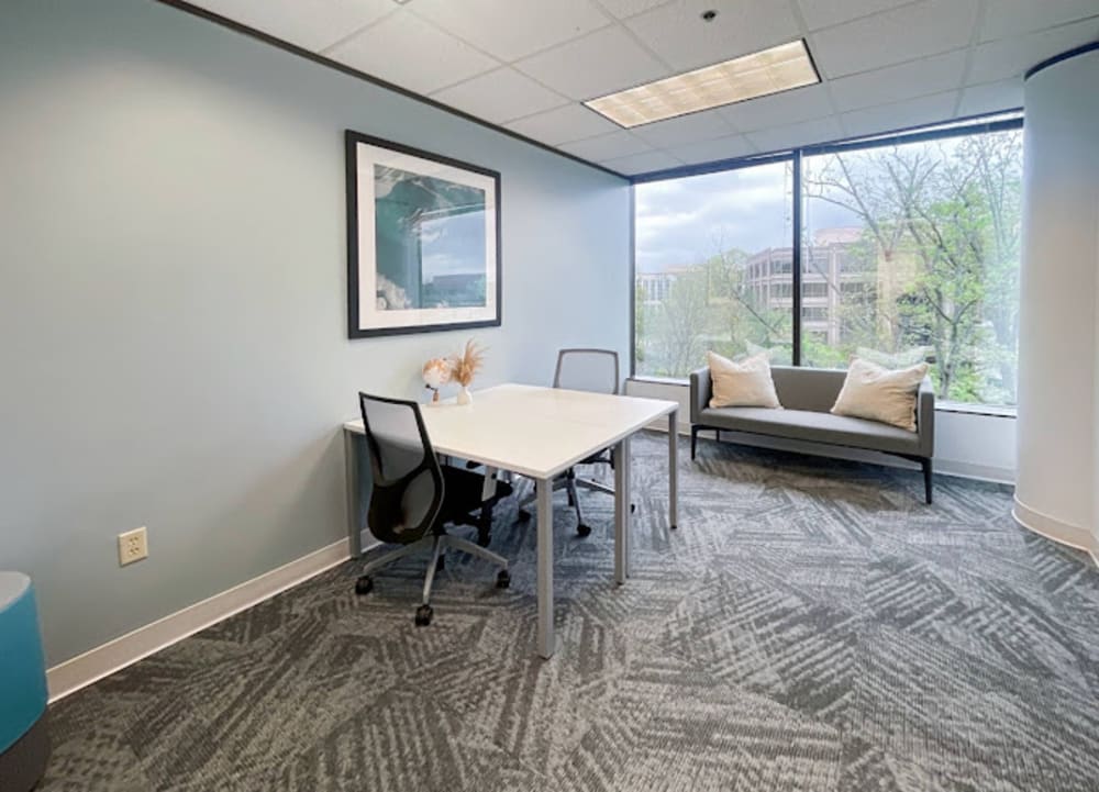 Regus Forum Suites Plus-Raleigh